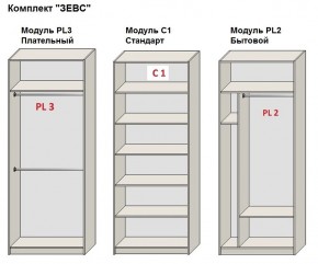 Шкаф распашной серия «ЗЕВС» (PL3/С1/PL2) в Надыме - nadym.mebel24.online | фото 2