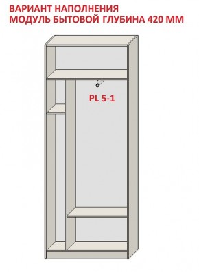 Шкаф распашной серия «ЗЕВС» (PL3/С1/PL2) в Надыме - nadym.mebel24.online | фото 4