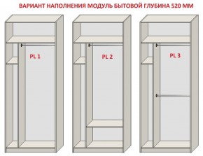 Шкаф распашной серия «ЗЕВС» (PL3/С1/PL2) в Надыме - nadym.mebel24.online | фото 5