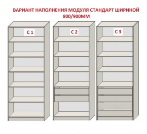 Шкаф распашной серия «ЗЕВС» (PL3/С1/PL2) в Надыме - nadym.mebel24.online | фото 6