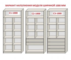 Шкаф распашной серия «ЗЕВС» (PL3/С1/PL2) в Надыме - nadym.mebel24.online | фото 7