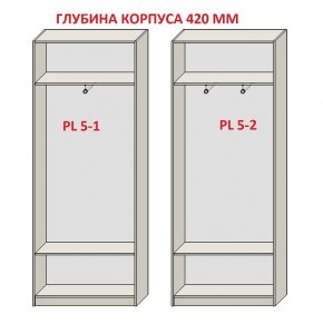 Шкаф распашной серия «ЗЕВС» (PL3/С1/PL2) в Надыме - nadym.mebel24.online | фото 8