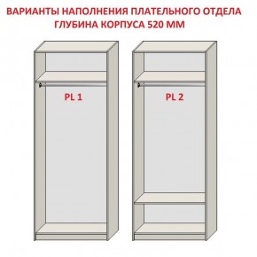 Шкаф распашной серия «ЗЕВС» (PL3/С1/PL2) в Надыме - nadym.mebel24.online | фото 9