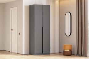 Шкаф ШК-5 + 2 полки (800) Графит серый в Надыме - nadym.mebel24.online | фото 2