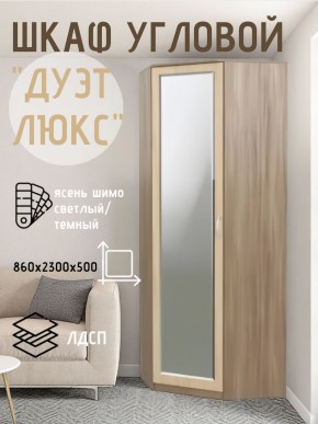 Шкаф угловой Дуэт Люкс с зеркалом в Надыме - nadym.mebel24.online | фото 3