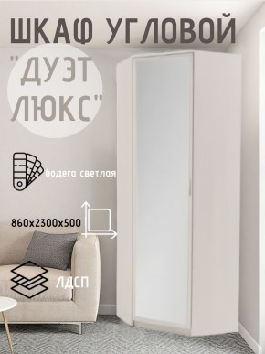 Шкаф угловой Дуэт Люкс с зеркалом в Надыме - nadym.mebel24.online | фото 6