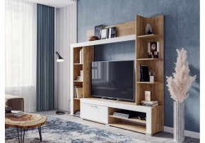 Стенка для гостиной Касэль в Надыме - nadym.mebel24.online | фото 2
