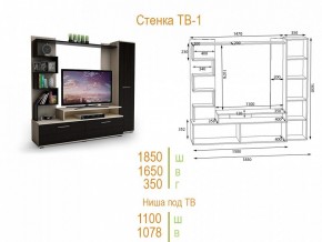 Стенка для гостиной ТВ-1 в Надыме - nadym.mebel24.online | фото 2