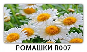 Стол раздвижной Трилогия с фотопечатью Лайм R156 в Надыме - nadym.mebel24.online | фото 15