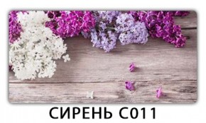 Стол раздвижной Трилогия с фотопечатью Лайм R156 в Надыме - nadym.mebel24.online | фото 16