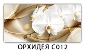 Стол раздвижной Трилогия с фотопечатью Орхидея C013 в Надыме - nadym.mebel24.online | фото 13