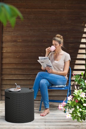 Столик-холодильник Кул-Стул (Cool stool) графит в Надыме - nadym.mebel24.online | фото 1