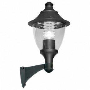 Светильник на штанге Fumagalli Gino F50.254.000.AXE27 в Надыме - nadym.mebel24.online | фото 2