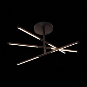 Светильник на штанге ST-Luce Ralio SL1580.403.03 в Надыме - nadym.mebel24.online | фото 3