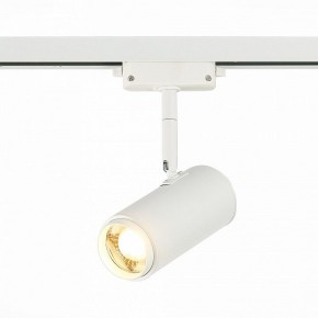 Светильник на штанге ST-Luce Zoom ST600.536.12 в Надыме - nadym.mebel24.online | фото 2