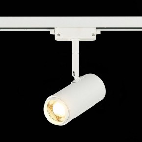 Светильник на штанге ST-Luce Zoom ST600.536.12 в Надыме - nadym.mebel24.online | фото 4