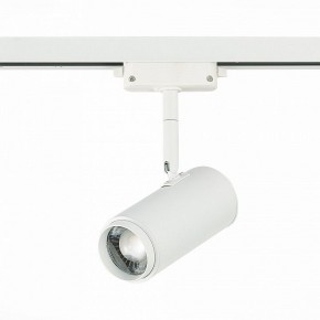 Светильник на штанге ST-Luce Zoom ST600.546.12 в Надыме - nadym.mebel24.online | фото 3