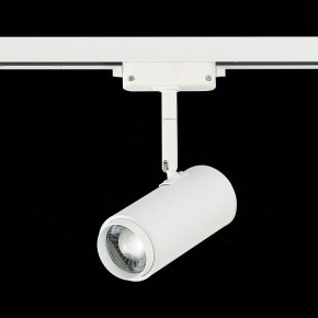 Светильник на штанге ST-Luce Zoom ST600.546.12 в Надыме - nadym.mebel24.online | фото 5