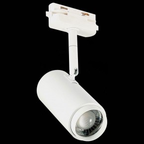Светильник на штанге ST-Luce Zoom ST600.546.12 в Надыме - nadym.mebel24.online | фото 6