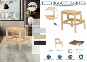 Табурет Стремянка в Надыме - nadym.mebel24.online | фото 4
