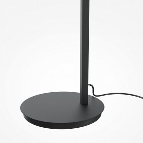 Торшер Maytoni Emphaty MOD363FL-L14B3K в Надыме - nadym.mebel24.online | фото 5