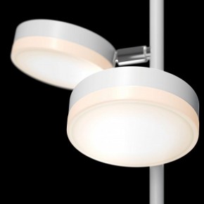 Торшер Maytoni Fad MOD070FL-L12W3K в Надыме - nadym.mebel24.online | фото 5