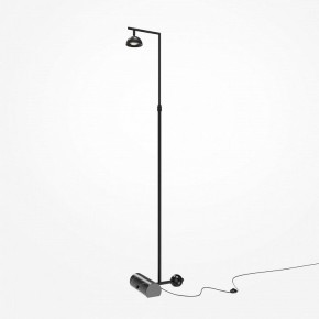 Торшер Maytoni Pikant MOD372FL-L10B3K в Надыме - nadym.mebel24.online | фото 2