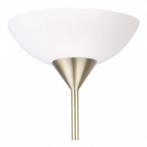 Торшер с подсветкой Arte Lamp Duetto A9569PN-2AB в Надыме - nadym.mebel24.online | фото 5