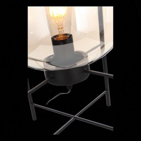 Торшер ST-Luce Burasca SL1050.505.01 в Надыме - nadym.mebel24.online | фото 9