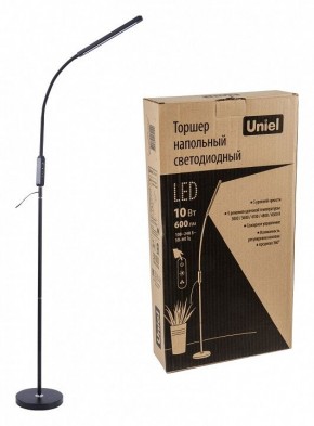 Торшер Uniel ULM-T619 UL-00010178 в Надыме - nadym.mebel24.online | фото 4