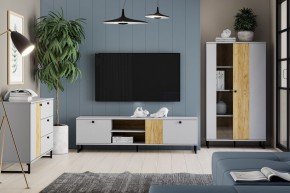 Тумба ТВА НМ 014.46 "Бруно" в Надыме - nadym.mebel24.online | фото 3