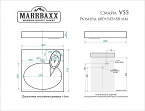 Умывальник над стиральной машиной (600*545*80) Смайл V55D1 (белый) с кронштейном без сифона (V55D1) в Надыме - nadym.mebel24.online | фото 2